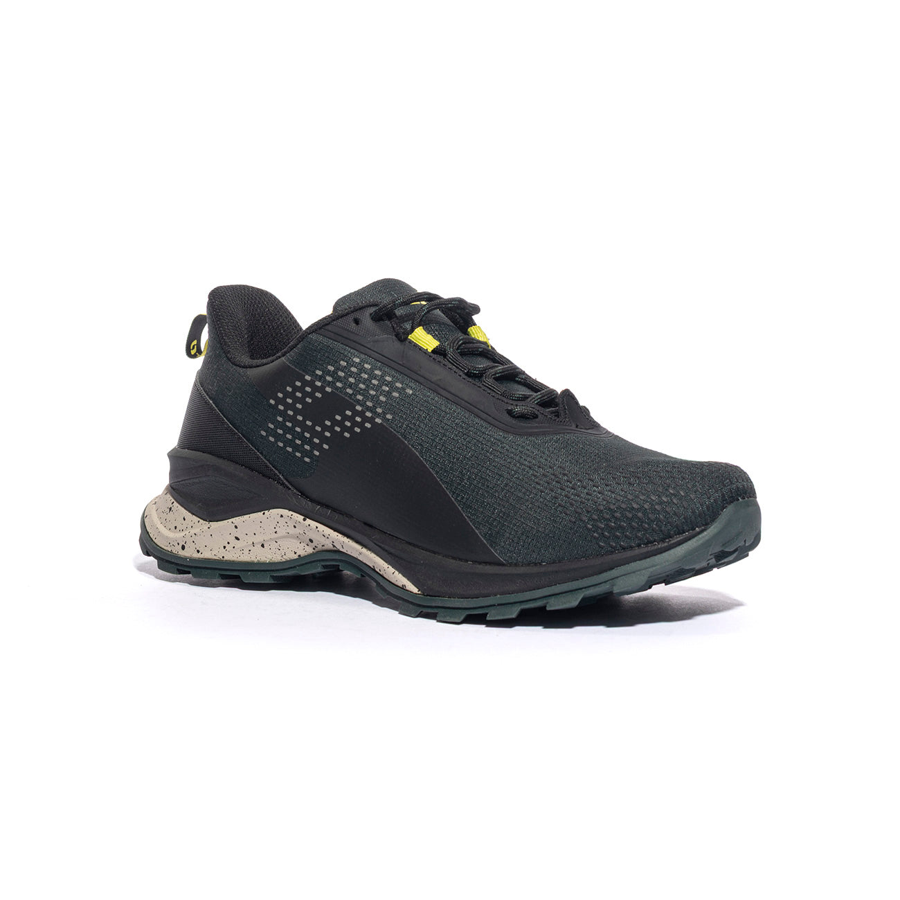 LOTTO 217801SCARAB GR