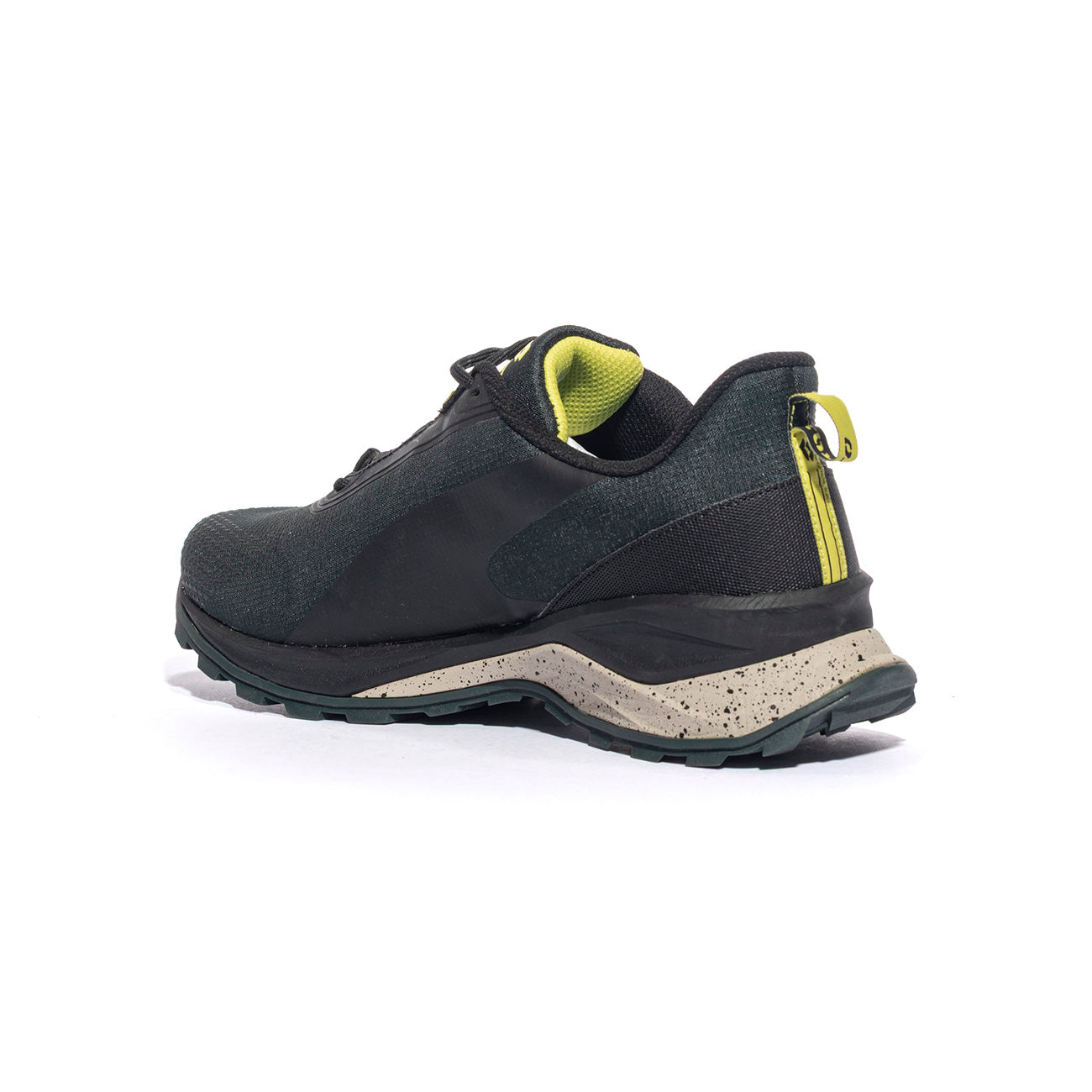 LOTTO 217801SCARAB GR