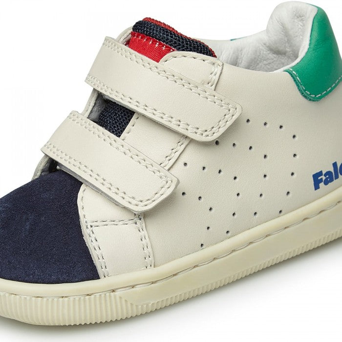 FALCOTTO 0012017846-05-2C80NAVY-MILK