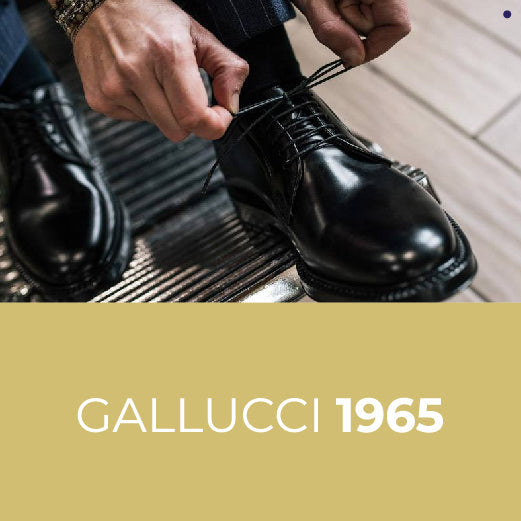 Gallucci 1965