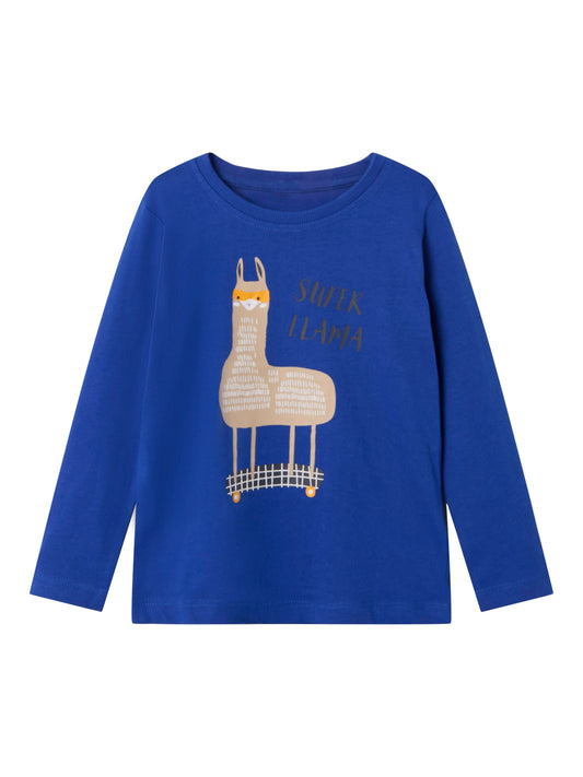 T-shirt Name It NMMORINDO LS TOP PB SURF THE WEB