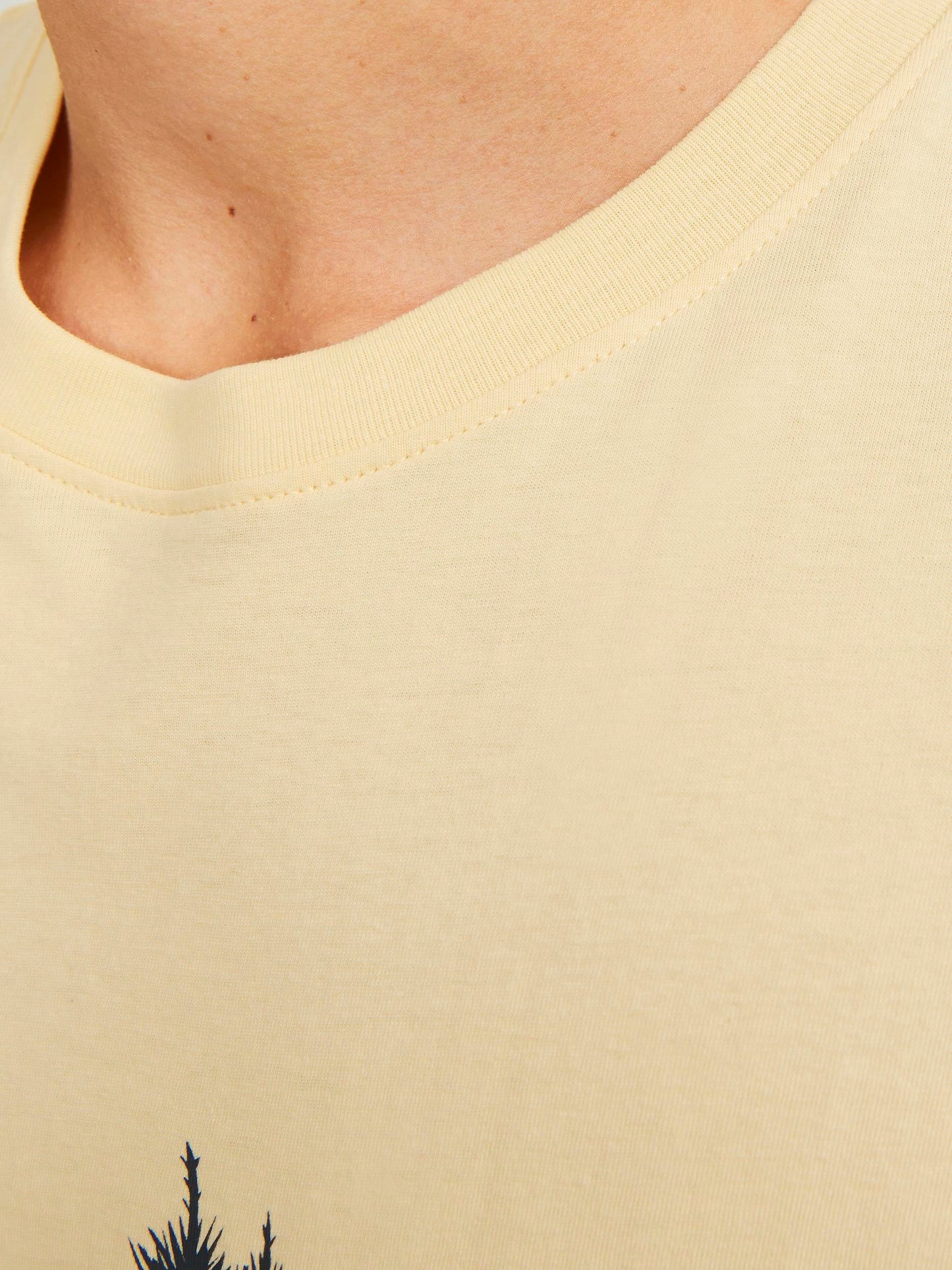 T-Shirt Jack E Jones Jorlucca Graphic Tee Ss Crew Neck Italian Straw