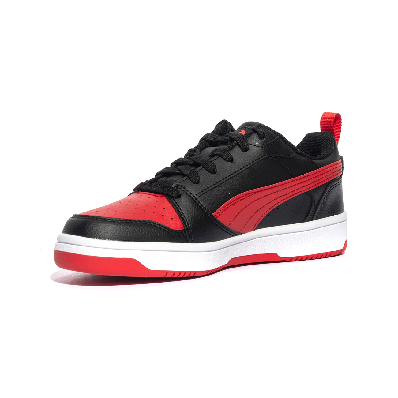 PUMA 393833-11MIX