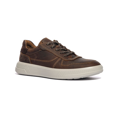 ECCO 551624 CAMEL Sneakers Uomo 