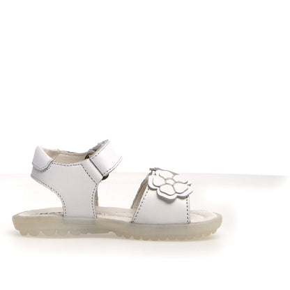 NATURINO 0010502698-05-0N01WHITE