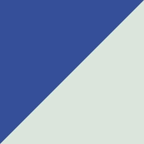 PUMA 090190-07blue
