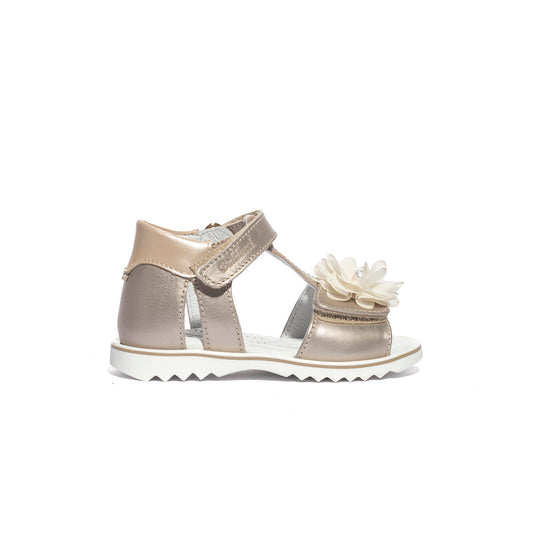 BALDUCCI CITA6430CHAMPAGNE