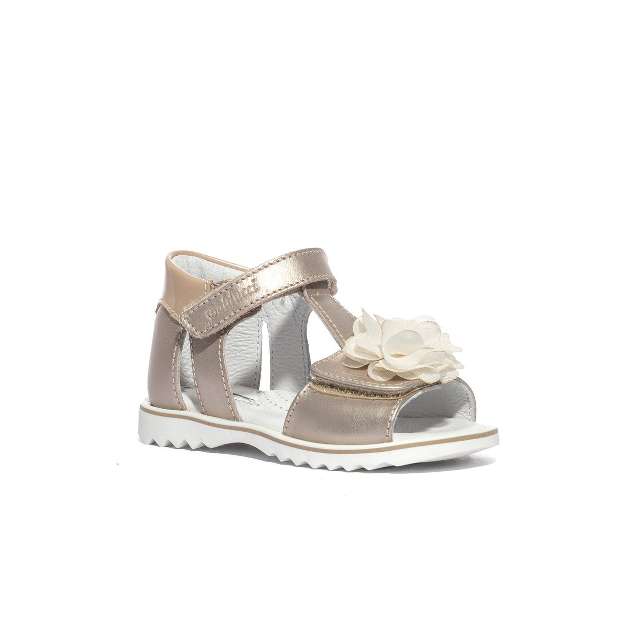 BALDUCCI CITA6430CHAMPAGNE