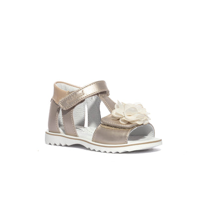 BALDUCCI CITA6430CHAMPAGNE