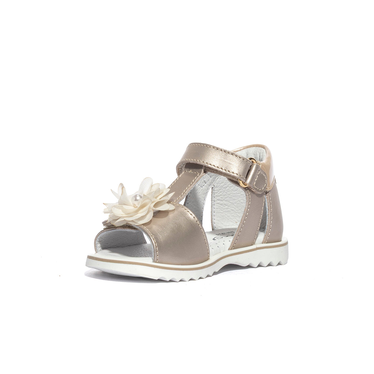 BALDUCCI CITA6430CHAMPAGNE