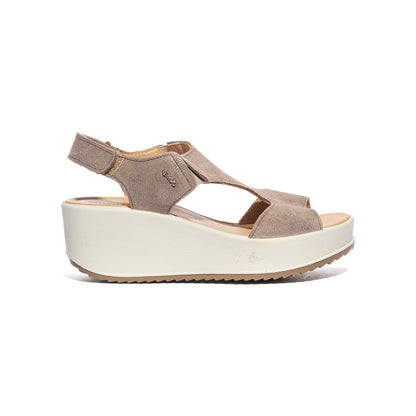 IGI & CO 5178611VISONE