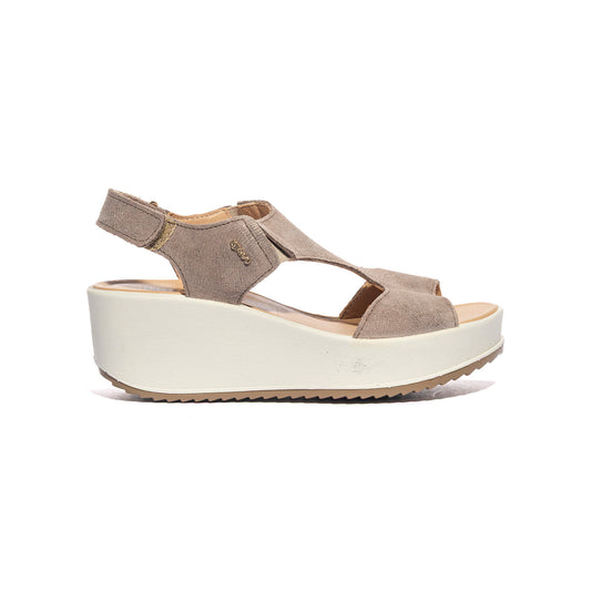 IGI & CO 5178611VISONE