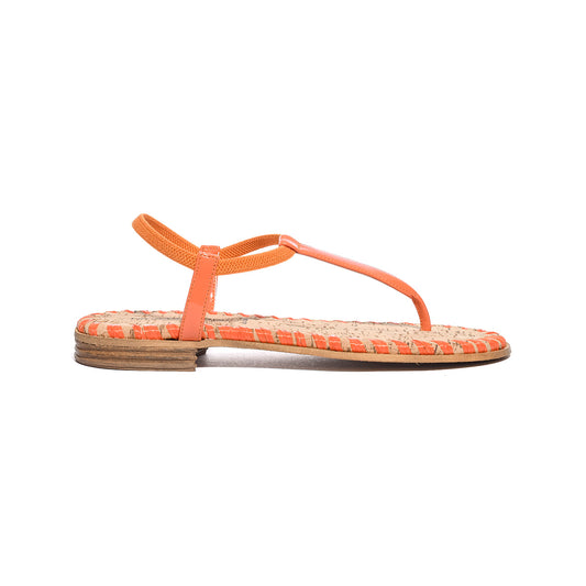 RAPISARDI PETUNIAORANGE