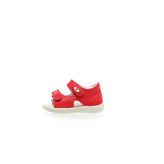 FALCOTTO 0011500728-01-0H05RED