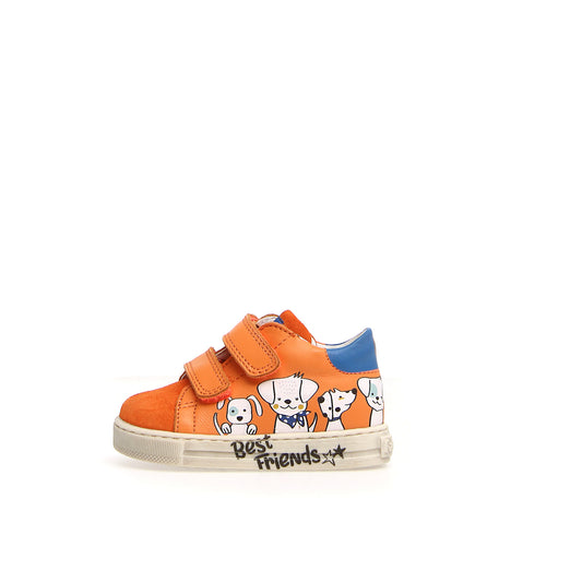 FALCOTTO 0012018391-01-1G94ORANGE-OLTREMARE
