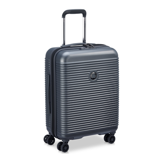 DELSEY 00385980301 GRAFITE Trolley Accessori 
